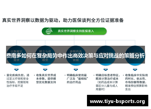 费南多如何在复杂局势中作出高效决策与应对挑战的策略分析