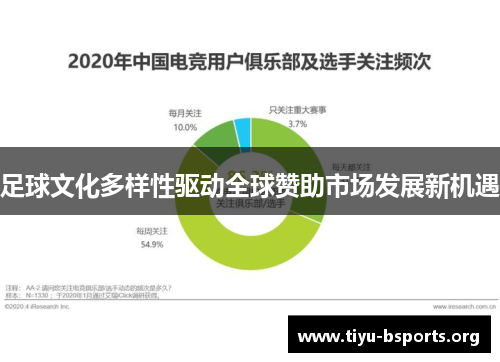 足球文化多样性驱动全球赞助市场发展新机遇 足球文化多样性驱动全球赞助市场发展新机遇