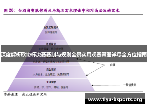 深度解析欧协杯决赛赛制与规则全景实用观赛策略详尽全方位指南 深度解析欧协杯决赛赛制与规则全景实用观赛策略详尽全方位指南