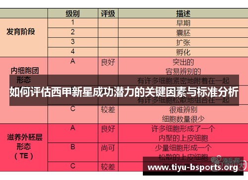 如何评估西甲新星成功潜力的关键因素与标准分析 如何评估西甲新星成功潜力的关键因素与标准分析