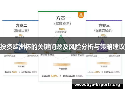 投资欧洲杯的关键问题及风险分析与策略建议